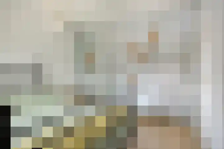 Roodeschoolstraat 34 Tilburg thumbnail 23