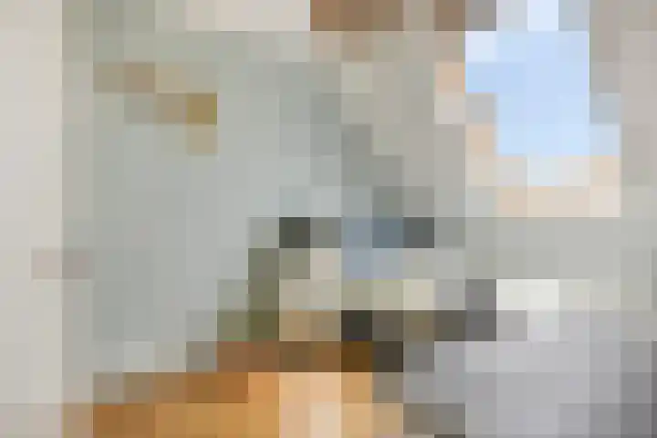 Roodeschoolstraat 34 Tilburg thumbnail 24