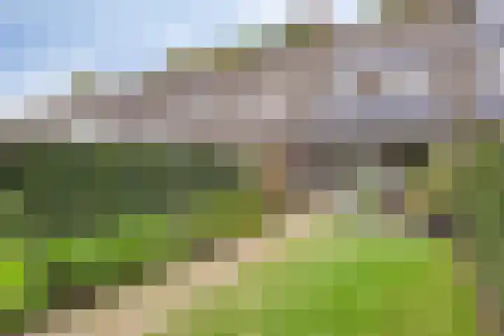 Roodeschoolstraat 34 Tilburg thumbnail 32