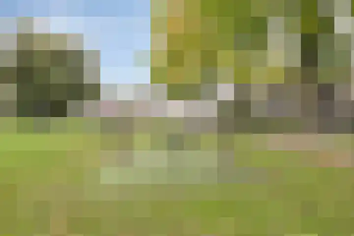 Roodeschoolstraat 34 Tilburg thumbnail 38