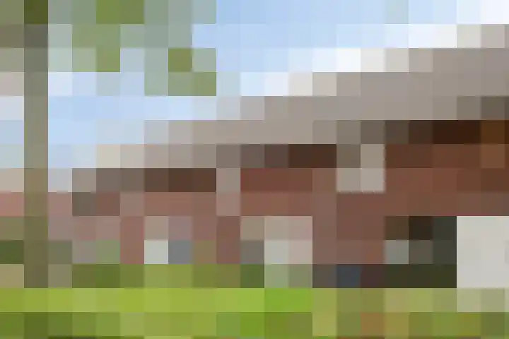 Roodeschoolstraat 34 Tilburg thumbnail 7