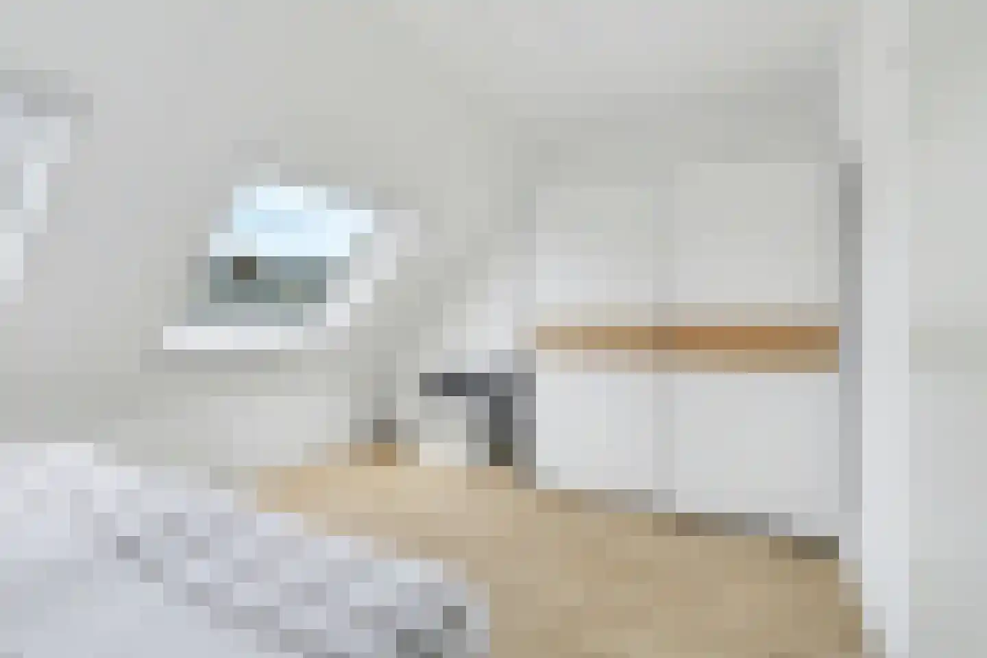 Roodeschoolstraat 39 Tilburg thumbnail 22