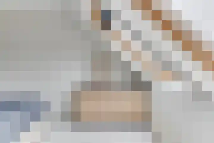 Roodeswerf 4 Hensbroek thumbnail 27