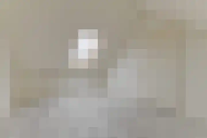 Roodeswerf 4 Hensbroek thumbnail 34