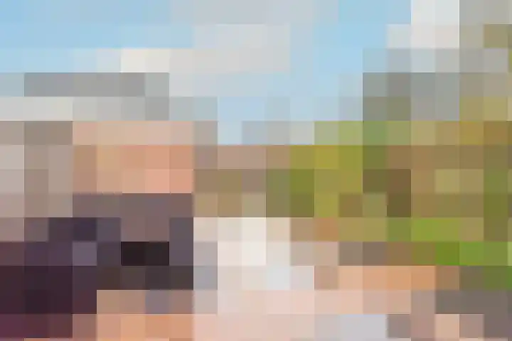 Roodeswerf 4 Hensbroek thumbnail 35