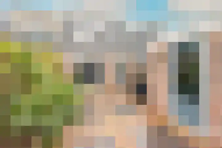 Roodeswerf 4 Hensbroek thumbnail 37