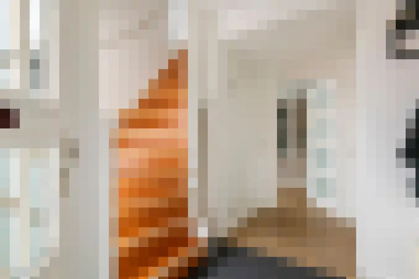 Roodhekkenpas 20 Druten thumbnail 12