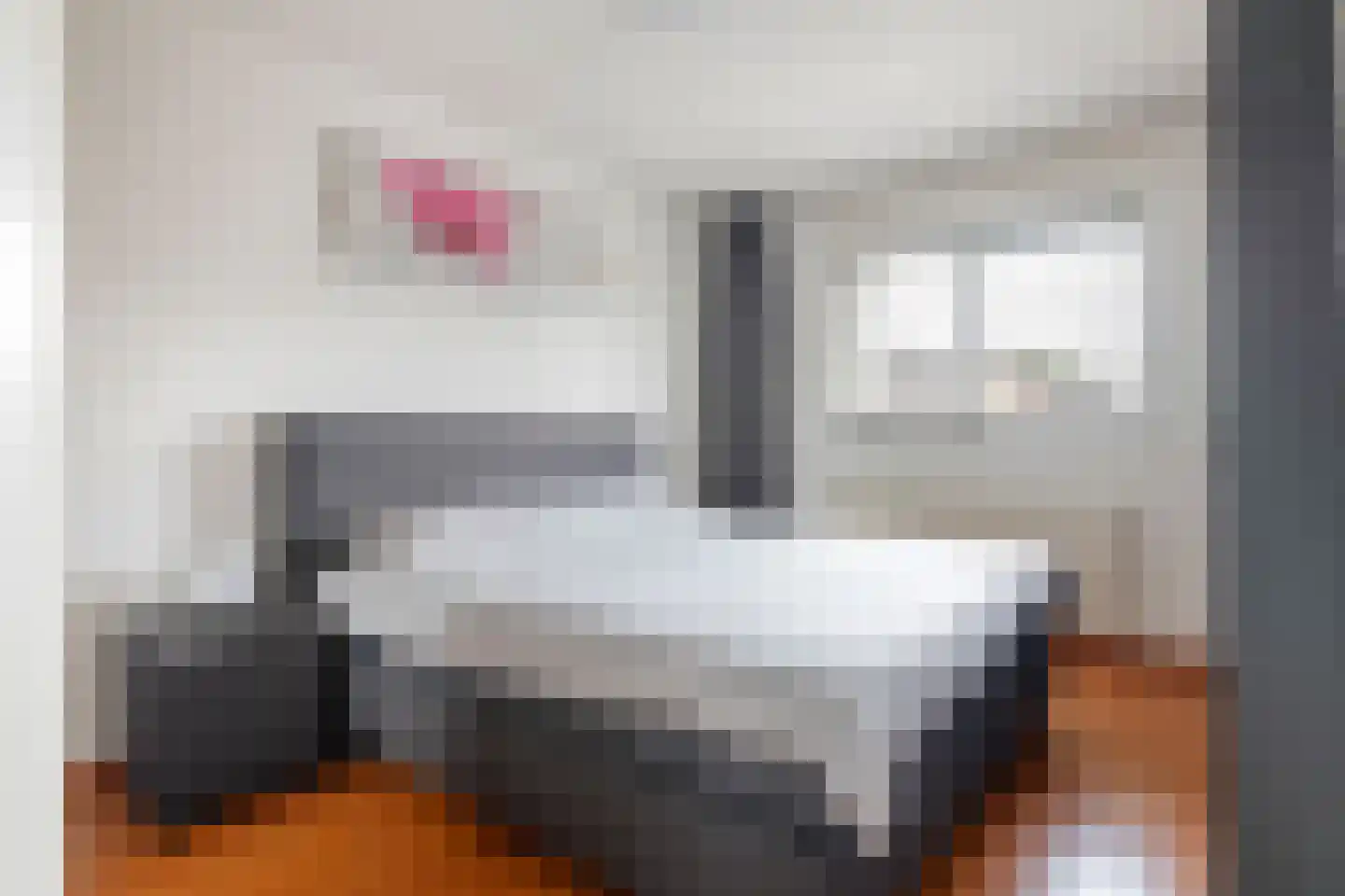 Roodhekkenpas 20 Druten thumbnail 13