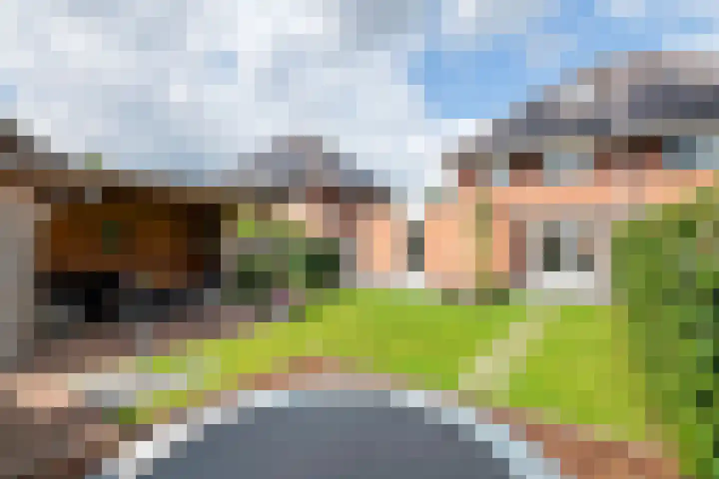 Roodhekkenpas 20 Druten foto 2