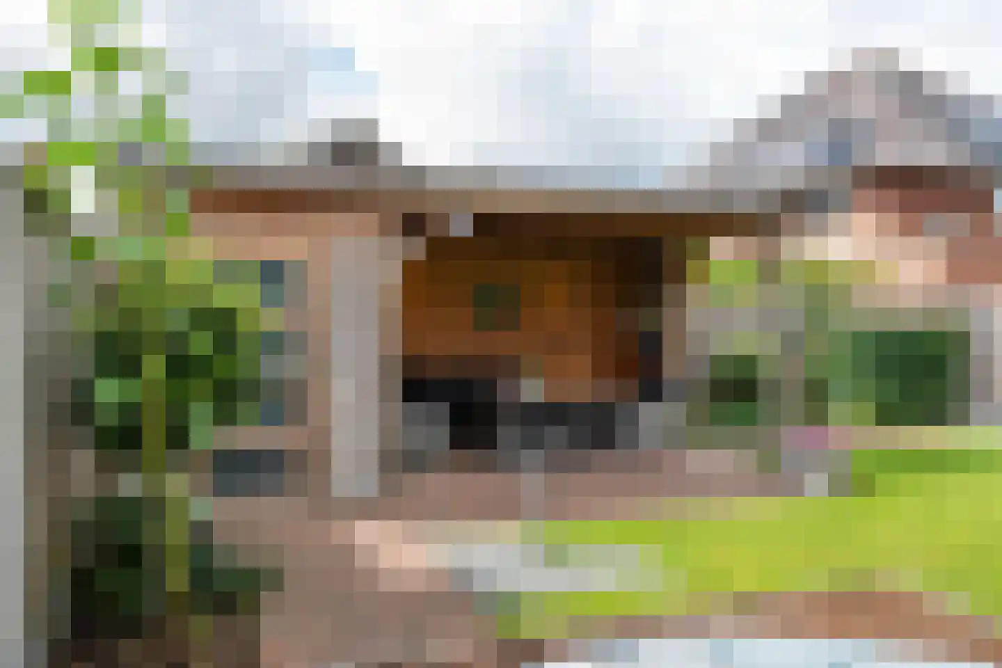 Roodhekkenpas 20 Druten thumbnail 26