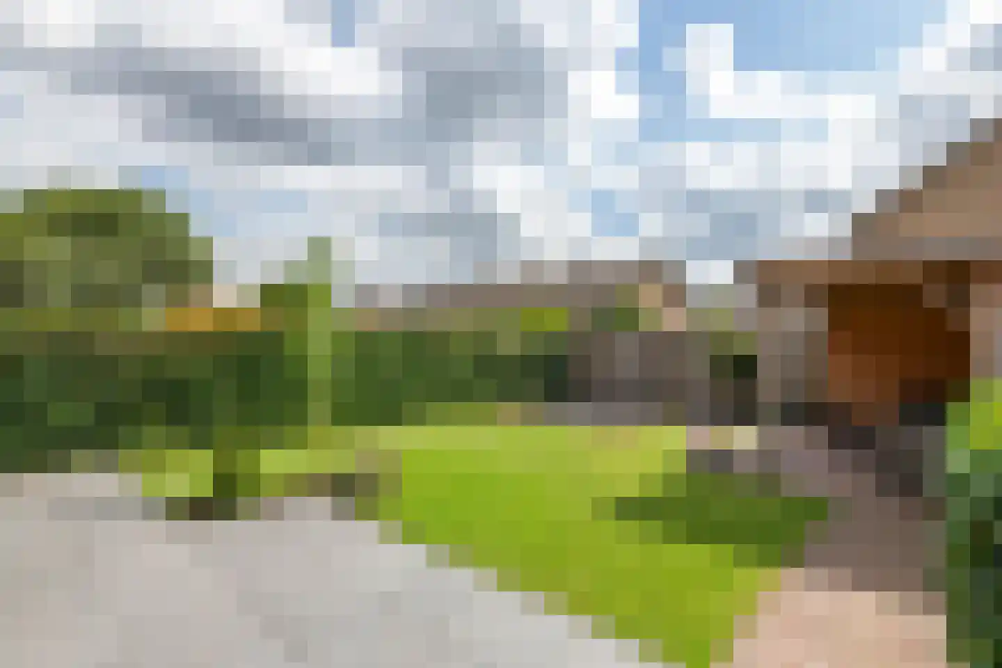 Roodhekkenpas 20 Druten foto 3