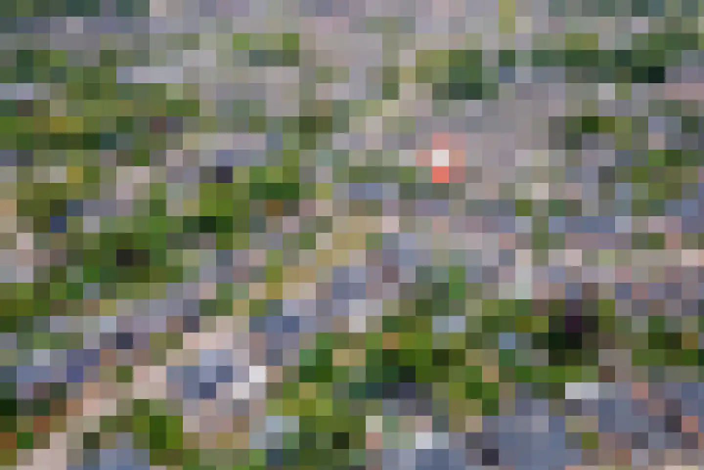 Roodhekkenpas 20 Druten thumbnail 30