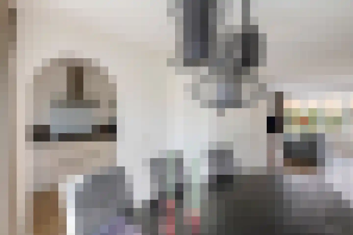 Roodhekkenpas 20 Druten thumbnail 4