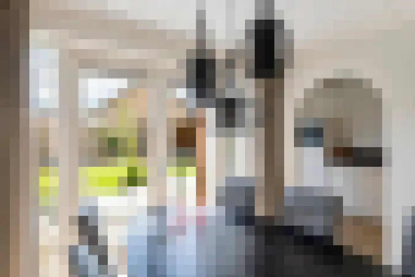 Roodhekkenpas 20 Druten thumbnail 5