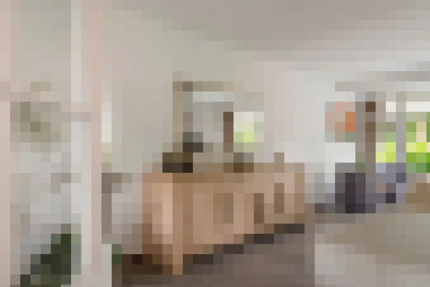 Roodhekkenpas 69 Druten thumbnail 10