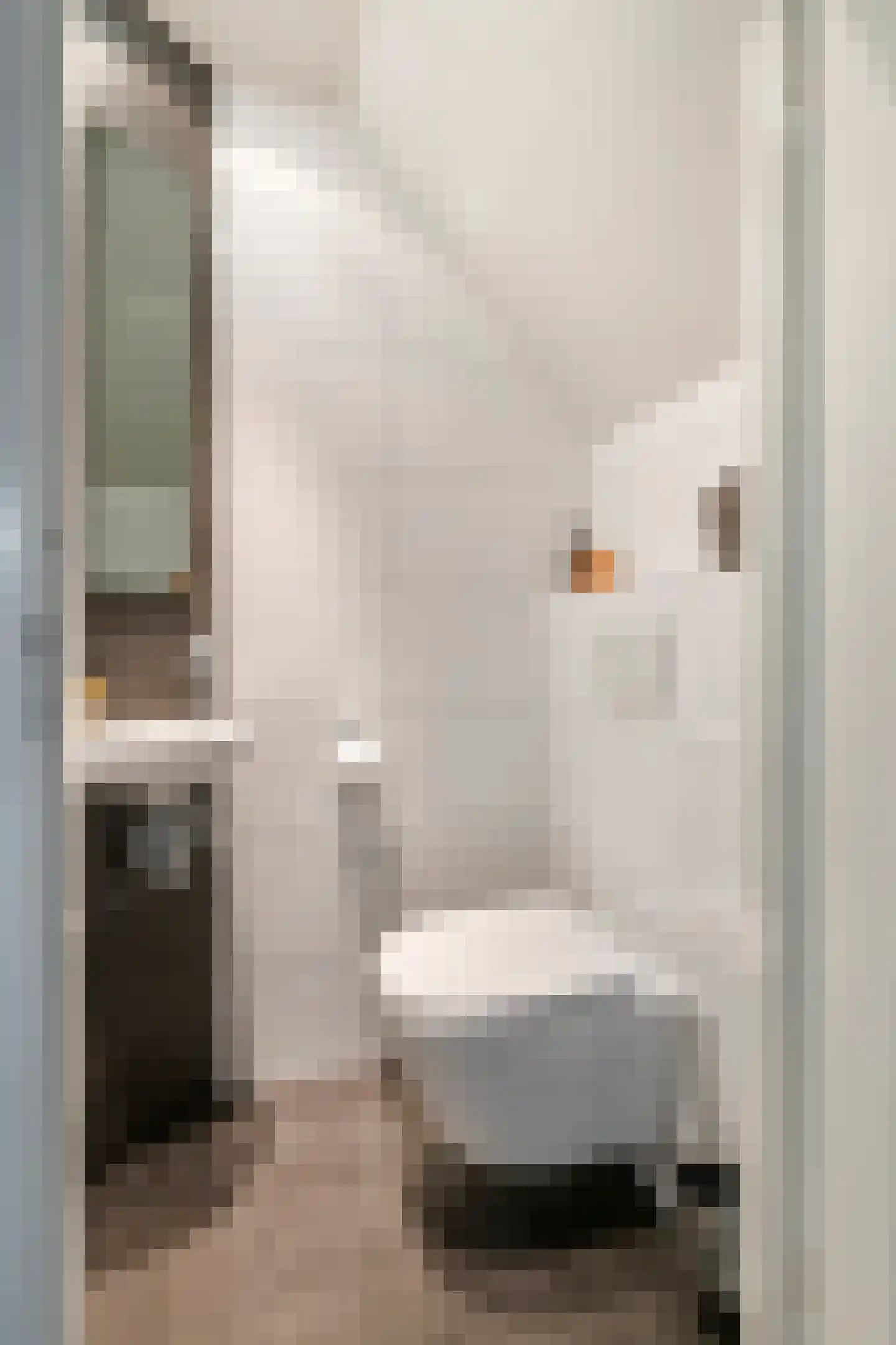 Roodhekkenpas 69 Druten thumbnail 11