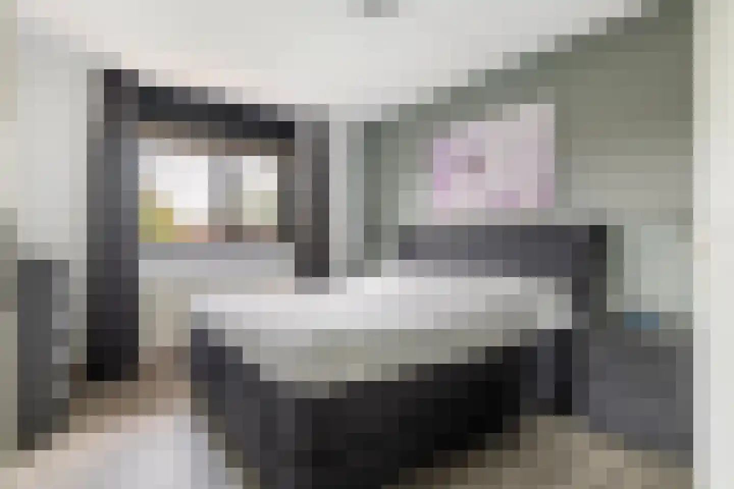 Roodhekkenpas 69 Druten thumbnail 13