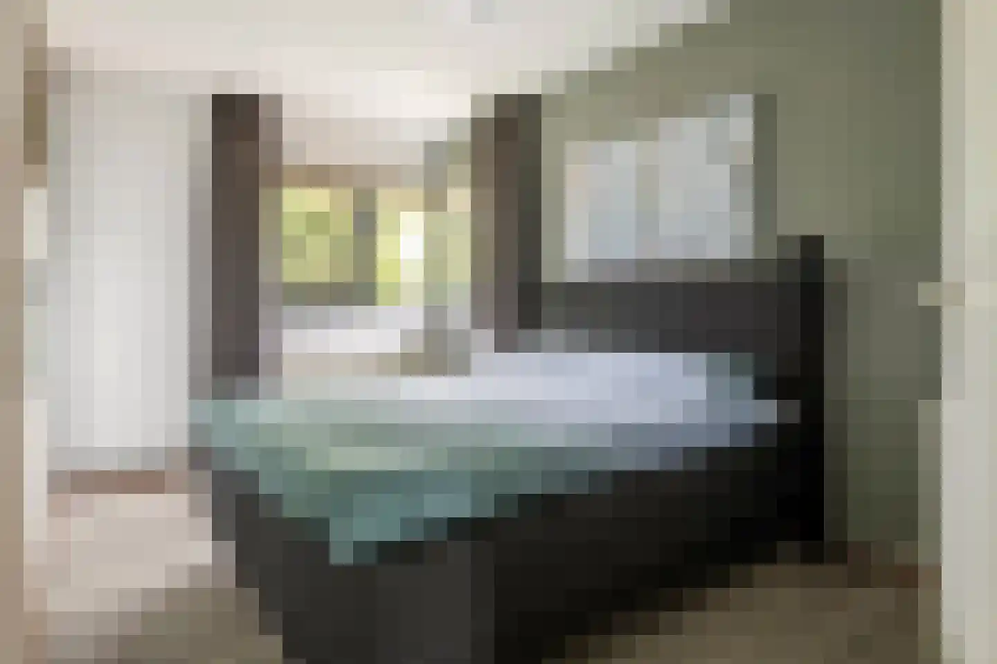 Roodhekkenpas 69 Druten thumbnail 15