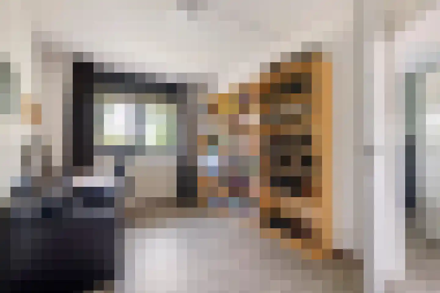 Roodhekkenpas 69 Druten thumbnail 19