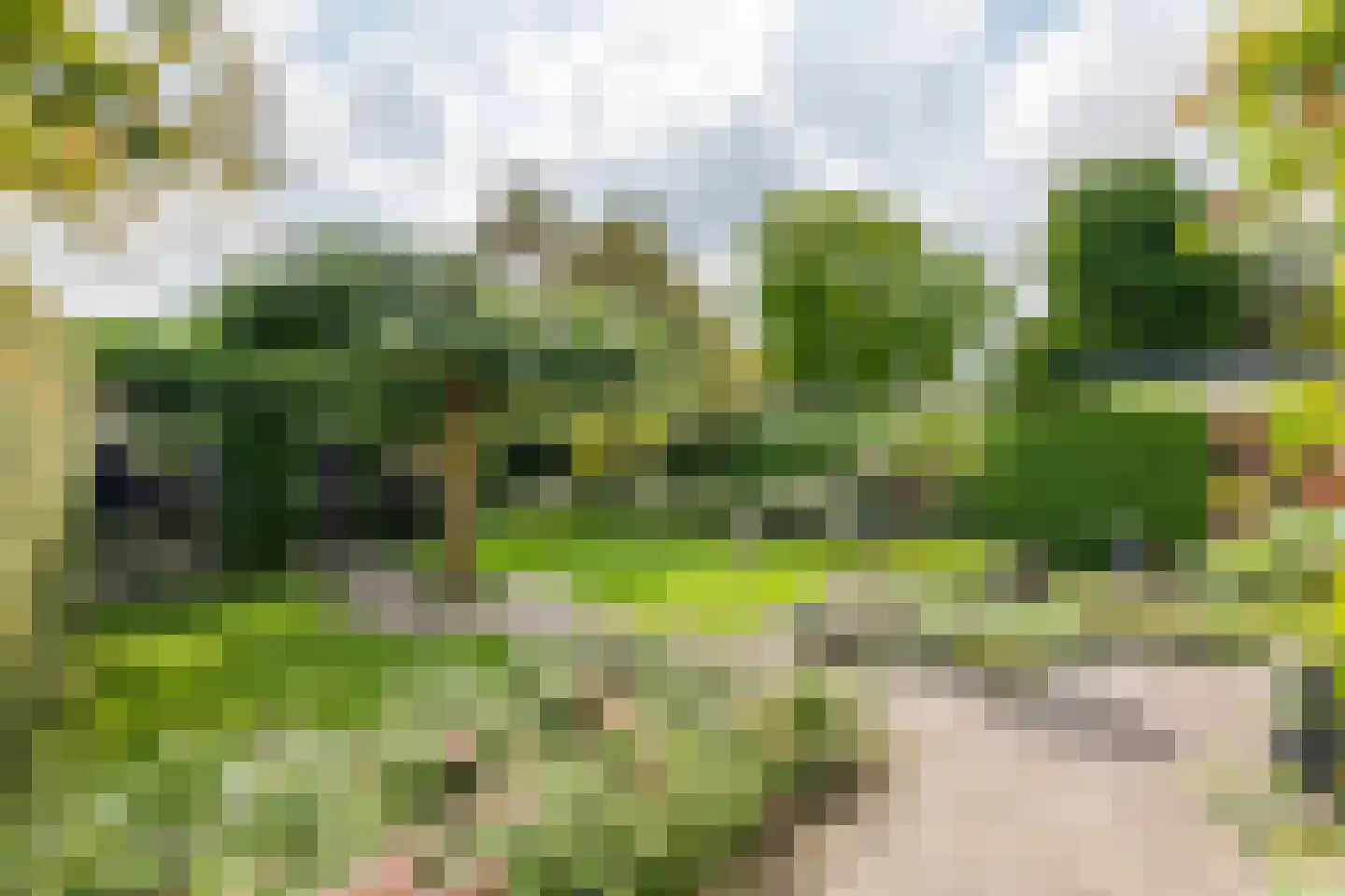 Roodhekkenpas 69 Druten thumbnail 28
