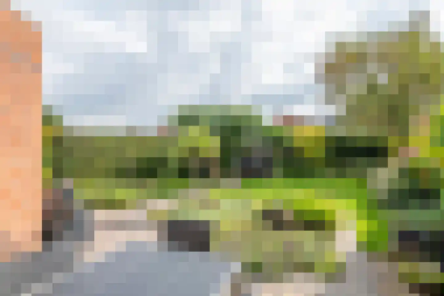 Roodhekkenpas 69 Druten foto 3