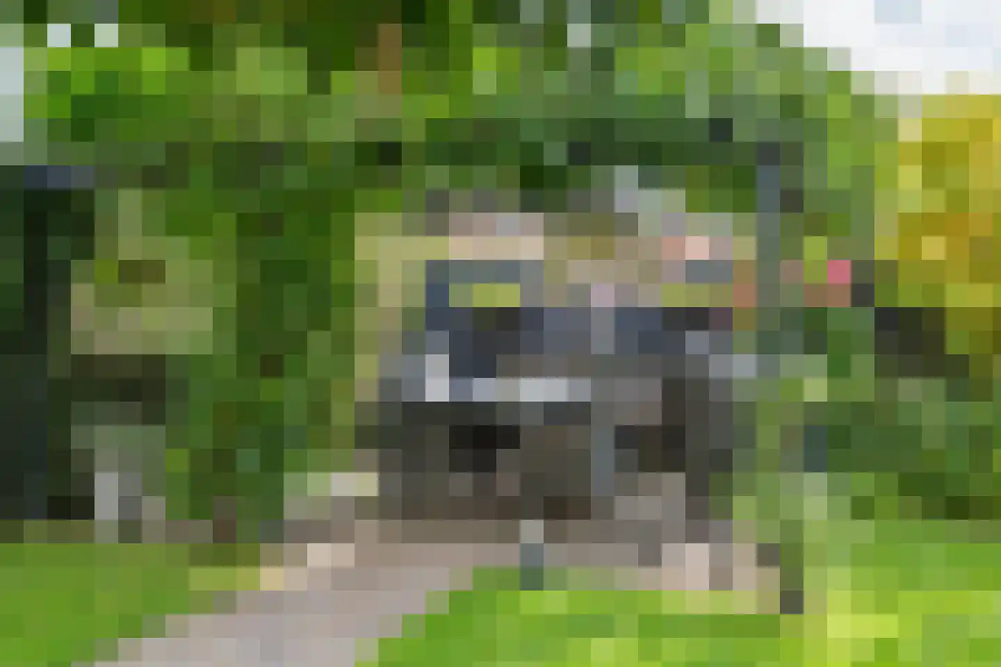 Roodhekkenpas 69 Druten thumbnail 30