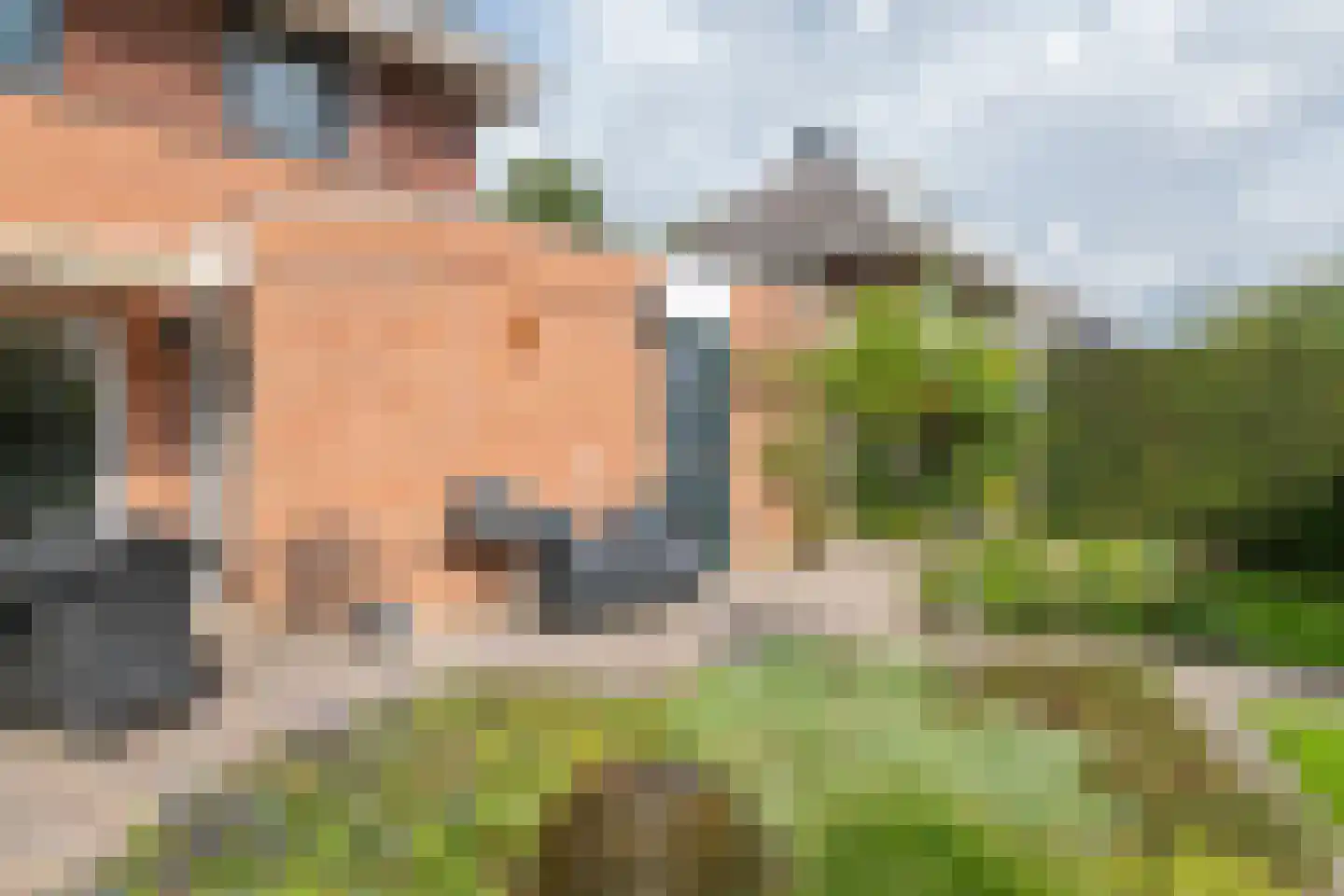 Roodhekkenpas 69 Druten thumbnail 32