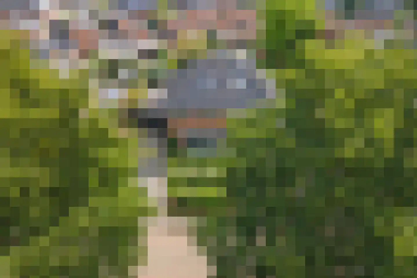 Roodhekkenpas 69 Druten thumbnail 34