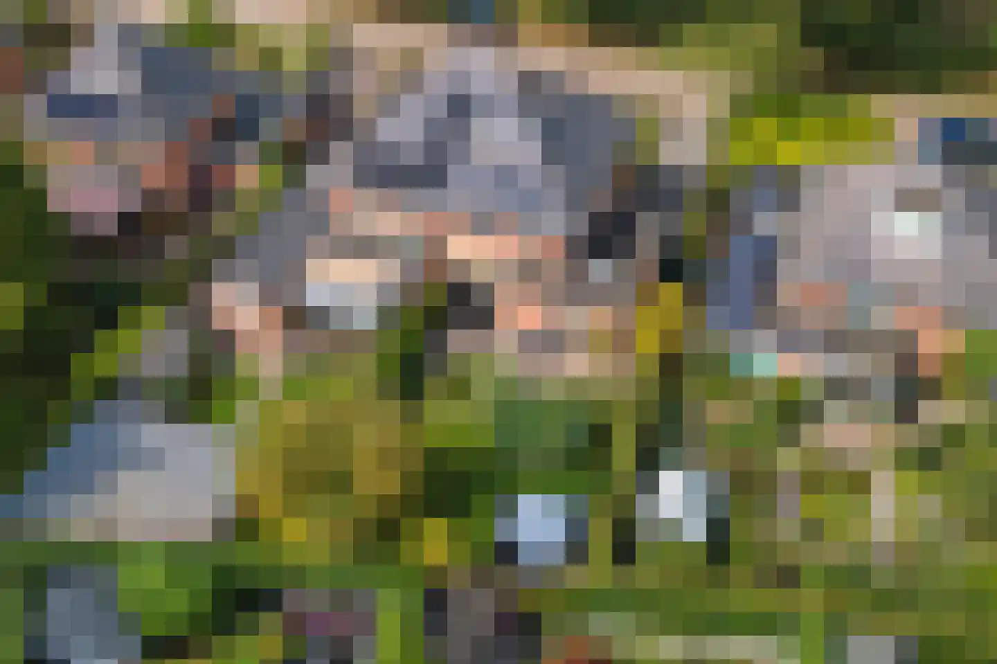 Roodhekkenpas 69 Druten thumbnail 35