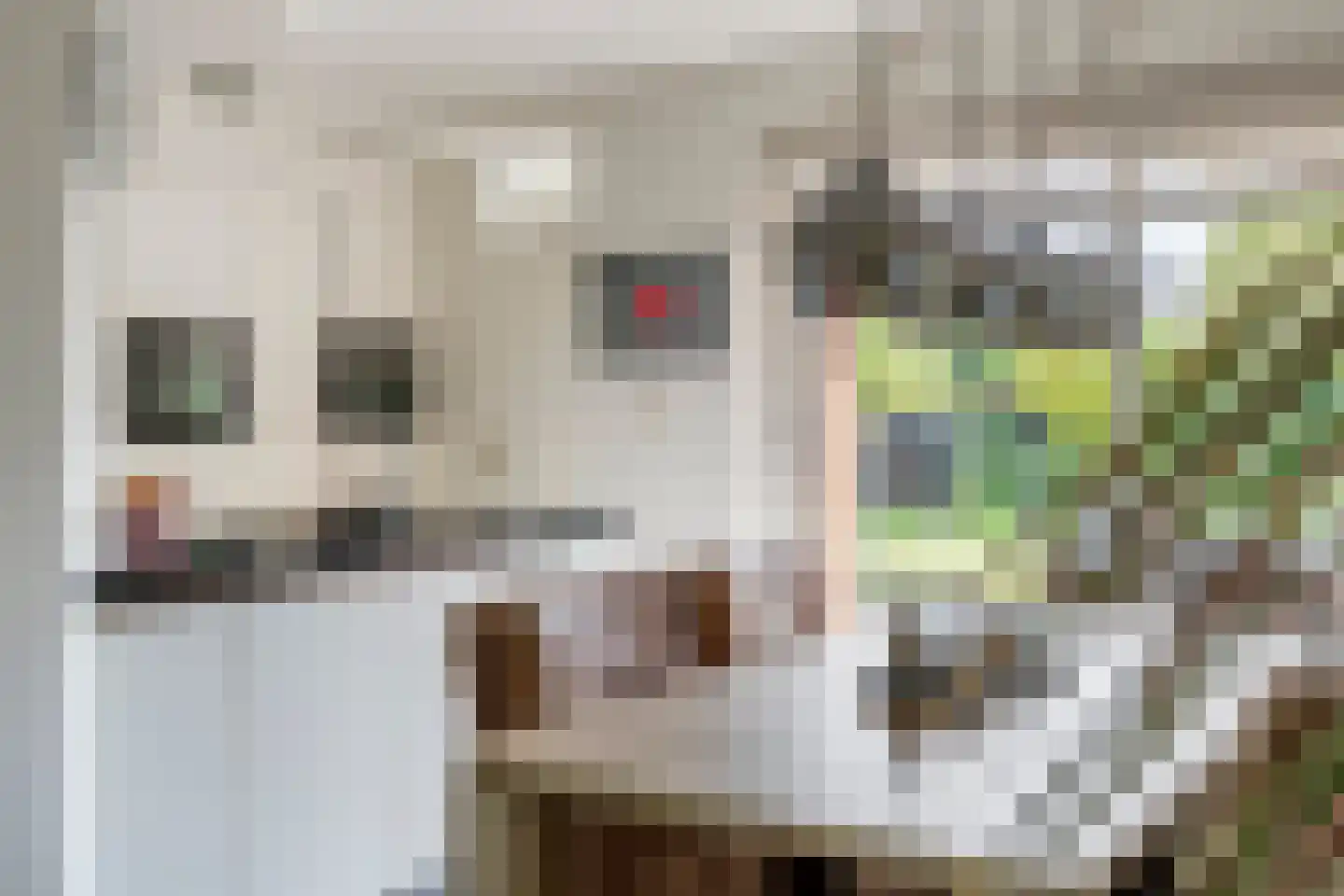 Roodhekkenpas 69 Druten thumbnail 4