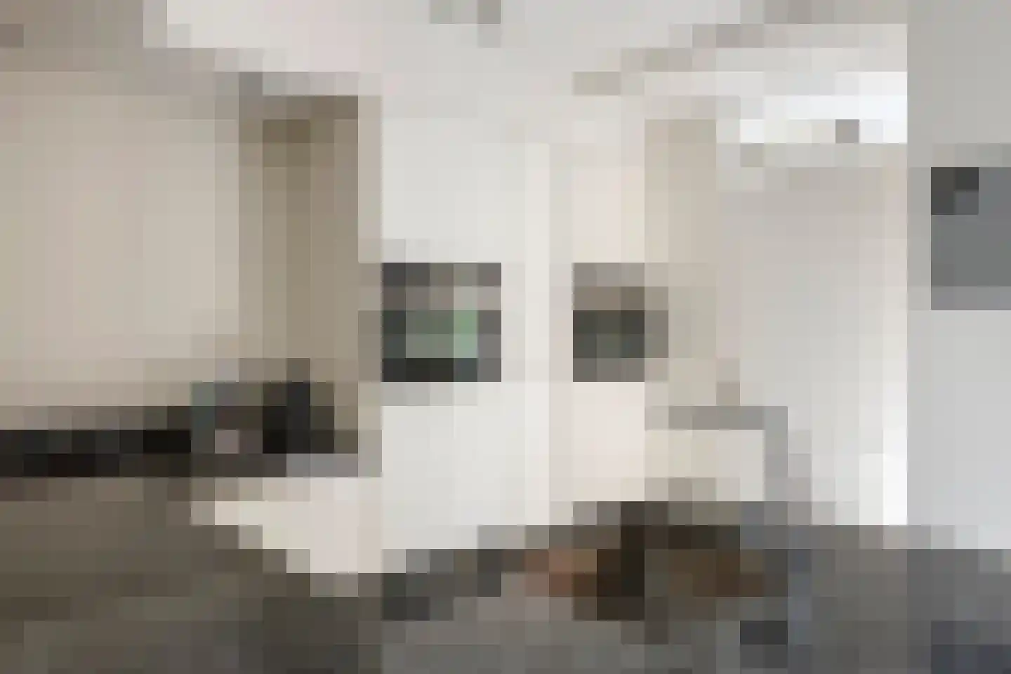 Roodhekkenpas 69 Druten thumbnail 5