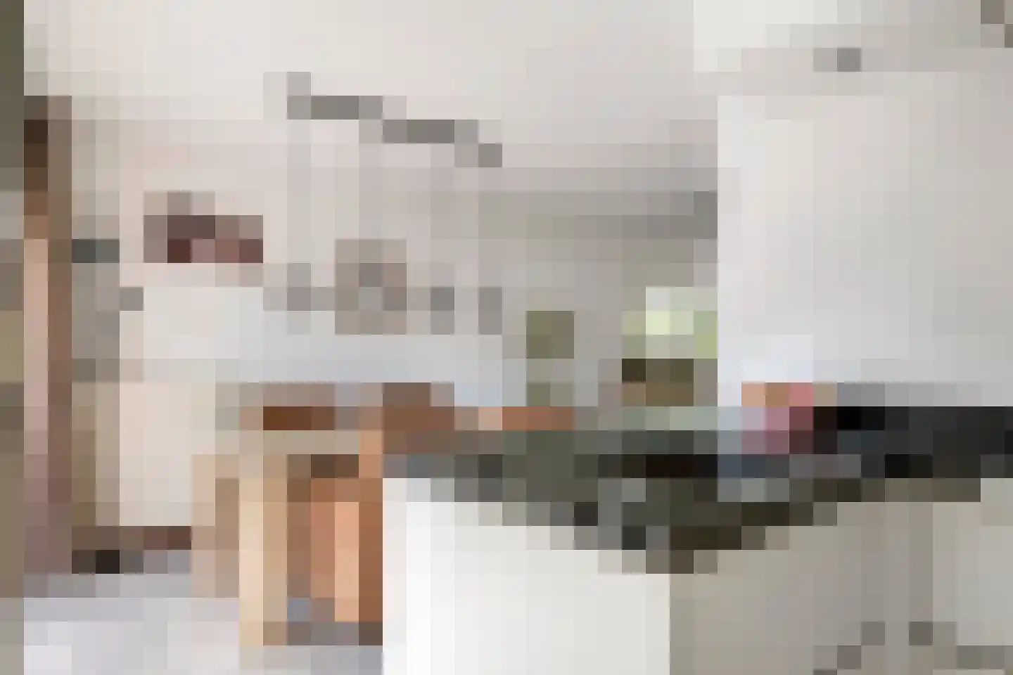 Roodhekkenpas 69 Druten thumbnail 6