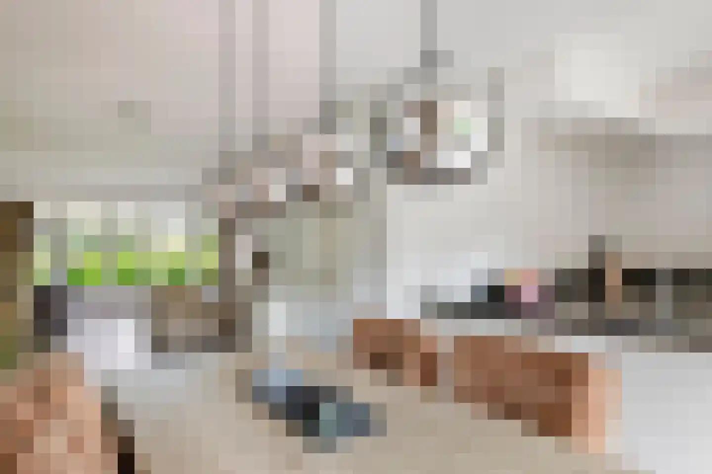 Roodhekkenpas 69 Druten thumbnail 7