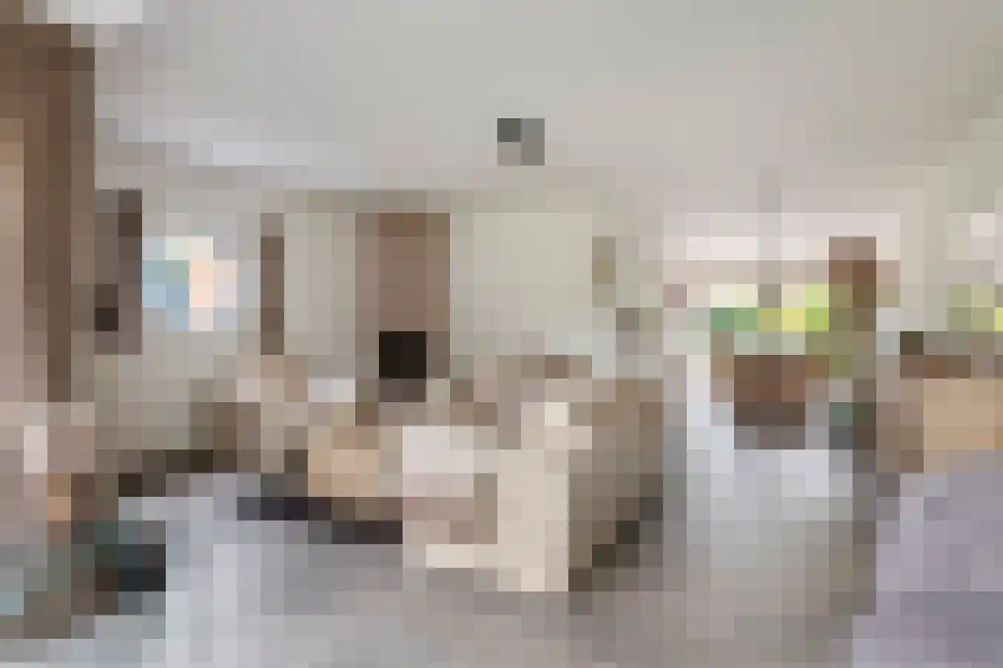Roodhekkenpas 69 Druten thumbnail 8