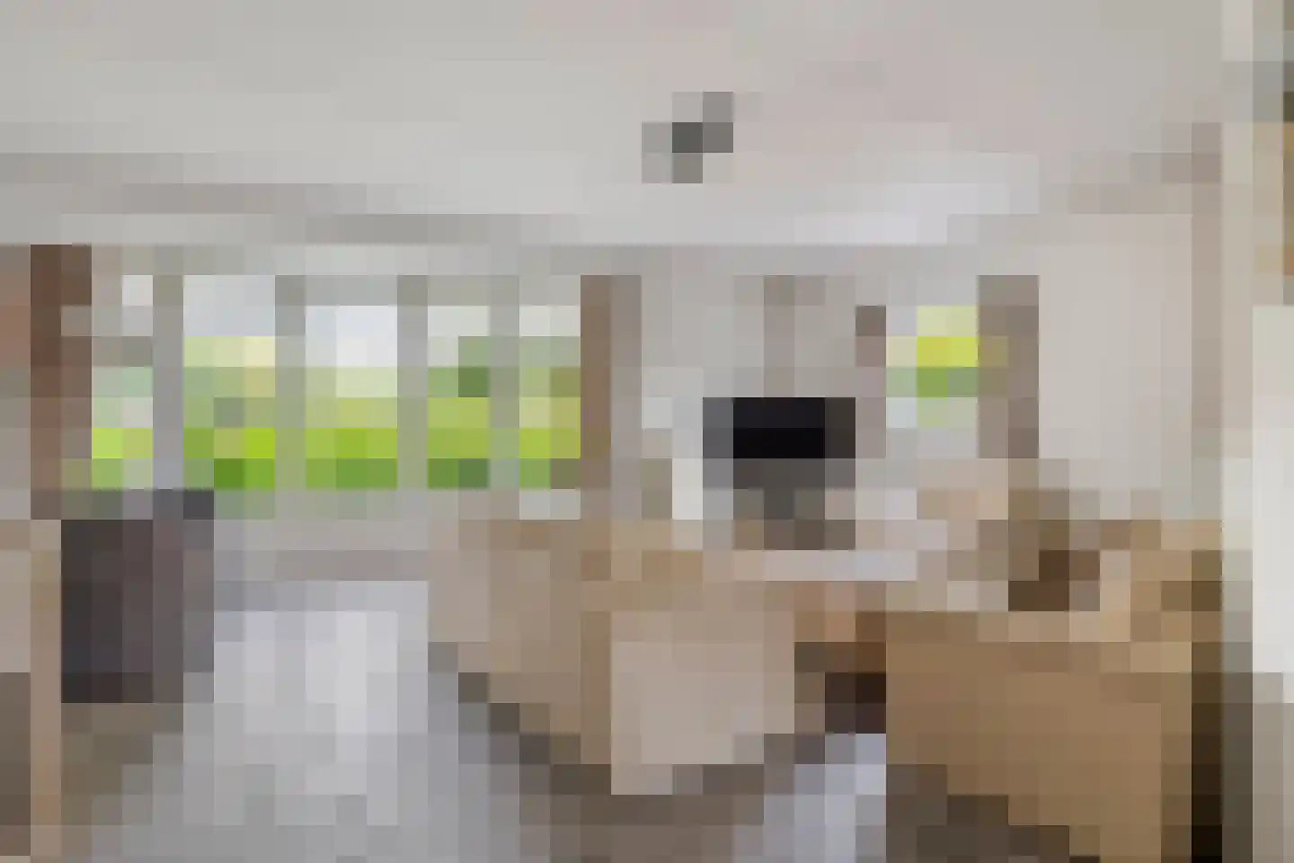 Roodhekkenpas 69 Druten thumbnail 9
