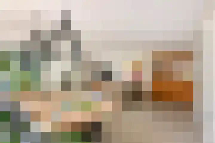Roodhekkenpas 79 Druten thumbnail 10
