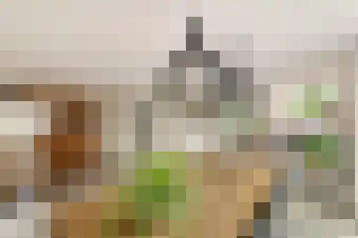 Roodhekkenpas 79 Druten thumbnail 12