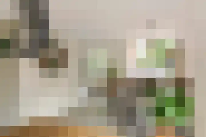 Roodhekkenpas 79 Druten thumbnail 13