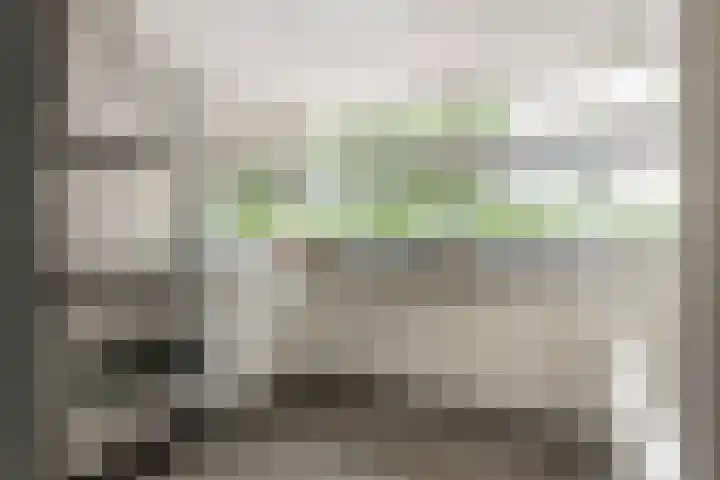 Roodhekkenpas 79 Druten thumbnail 14