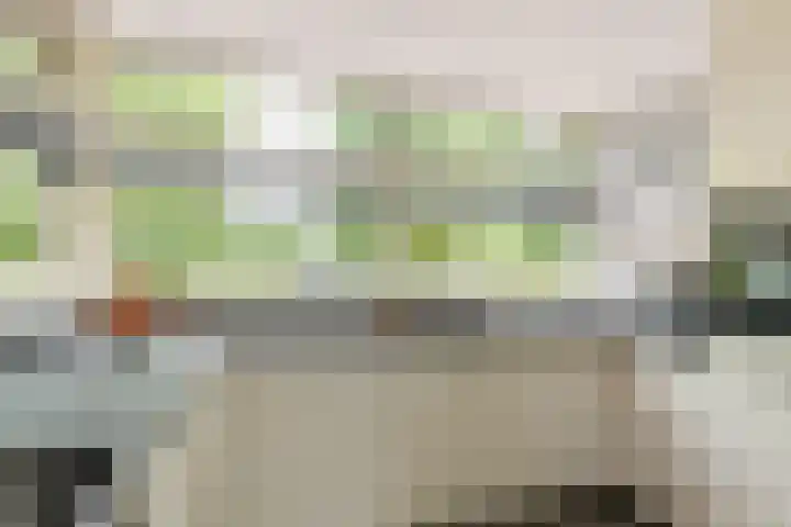 Roodhekkenpas 79 Druten thumbnail 15