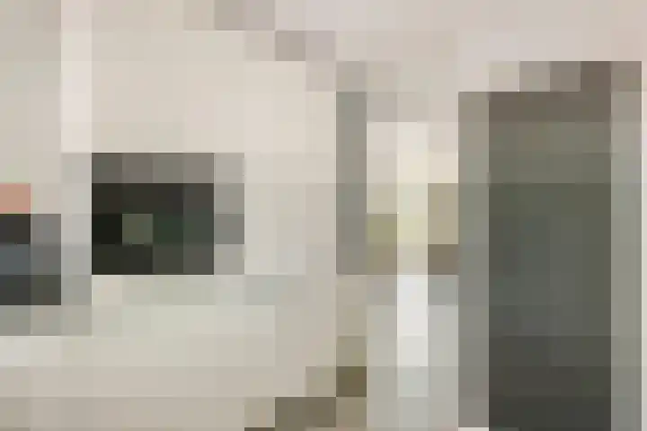 Roodhekkenpas 79 Druten thumbnail 16