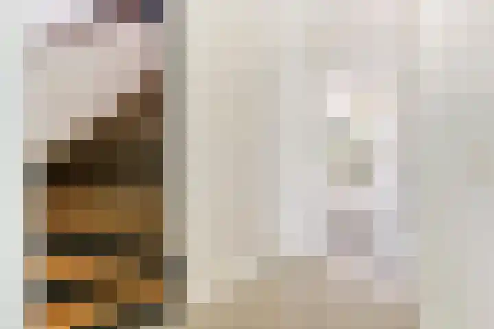 Roodhekkenpas 79 Druten thumbnail 17