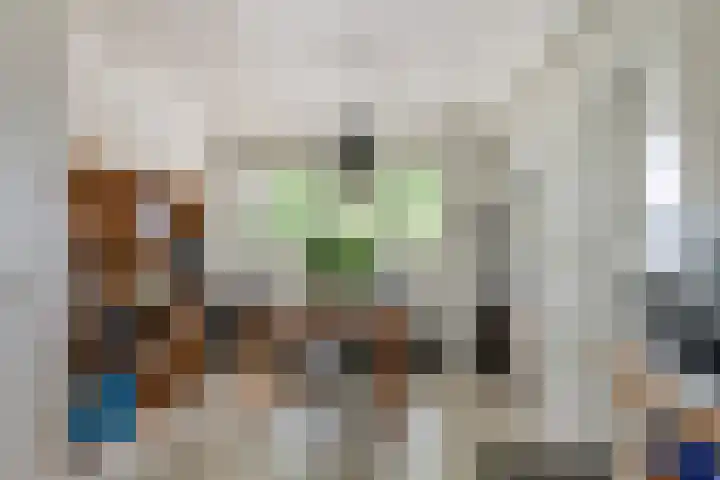 Roodhekkenpas 79 Druten thumbnail 19