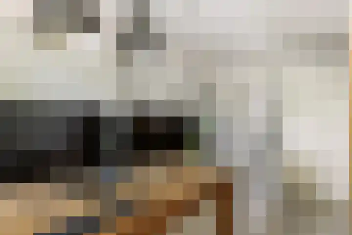 Roodhekkenpas 79 Druten thumbnail 20