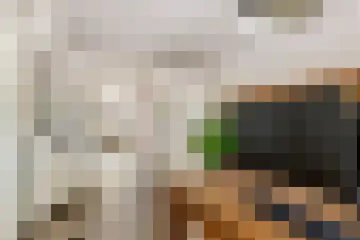 Roodhekkenpas 79 Druten thumbnail 21