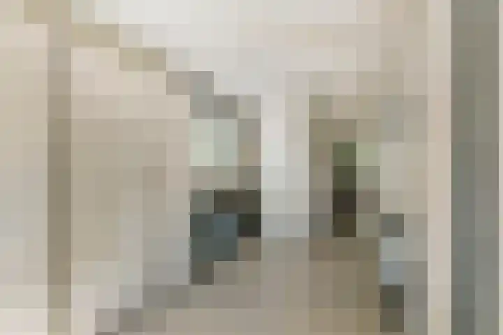 Roodhekkenpas 79 Druten thumbnail 23