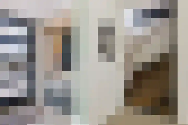 Roodhekkenpas 79 Druten thumbnail 24