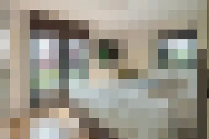 Roodhekkenpas 79 Druten thumbnail 25