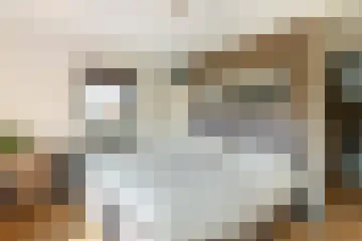 Roodhekkenpas 79 Druten thumbnail 26