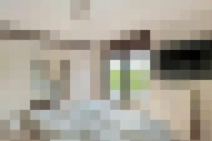 Roodhekkenpas 79 Druten thumbnail 27